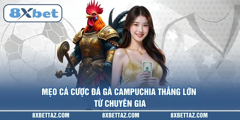 Mẹo cá cược Đá gà Campuchia thắng lớn từ chuyên gia